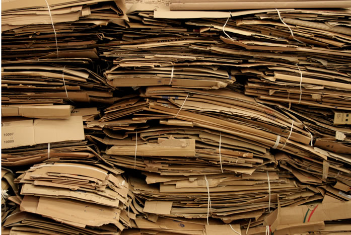 recycled-cardboard-craftwork-by-domingos-totora-of-brazil-2-vhm.jpg