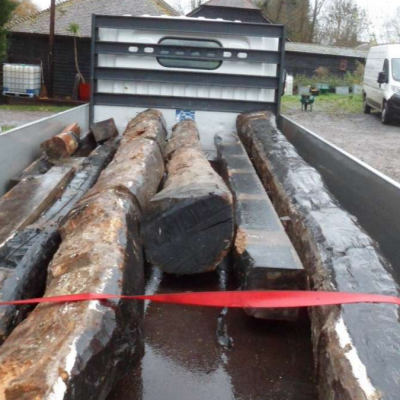 Ancient Oak Beams