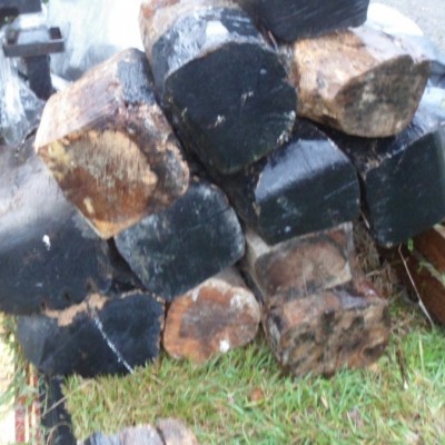 Ancient Oak Beams