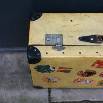 Canvas Travel Trunk