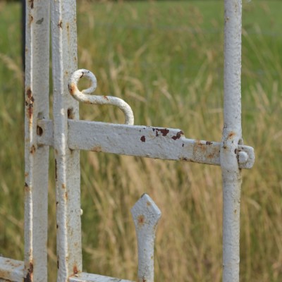 Antique Iron Driveway Gates