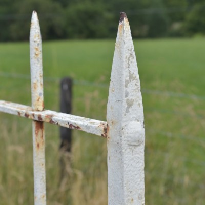 Antique Iron Driveway Gates