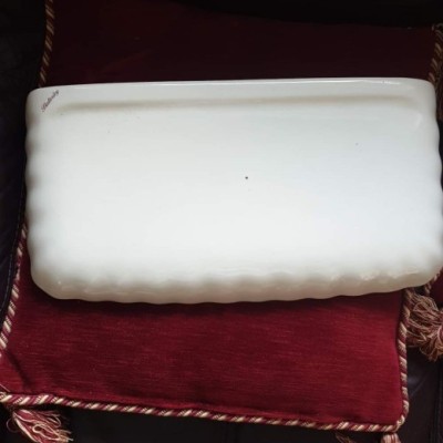 Balterley Shell toilet and sink with Satsuma decoration painting 