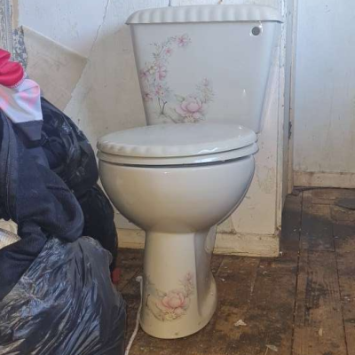 Balterley Shell toilet and sink with Satsuma decoration painting 