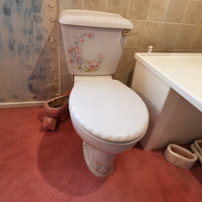 Balterley Shell toilet with Satsuma design and other floral patterns 1980s/1990s