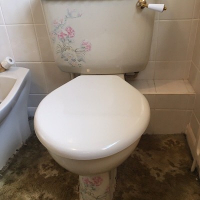 Balterley Carina Shell toilet with Satsuma or any floral pattern