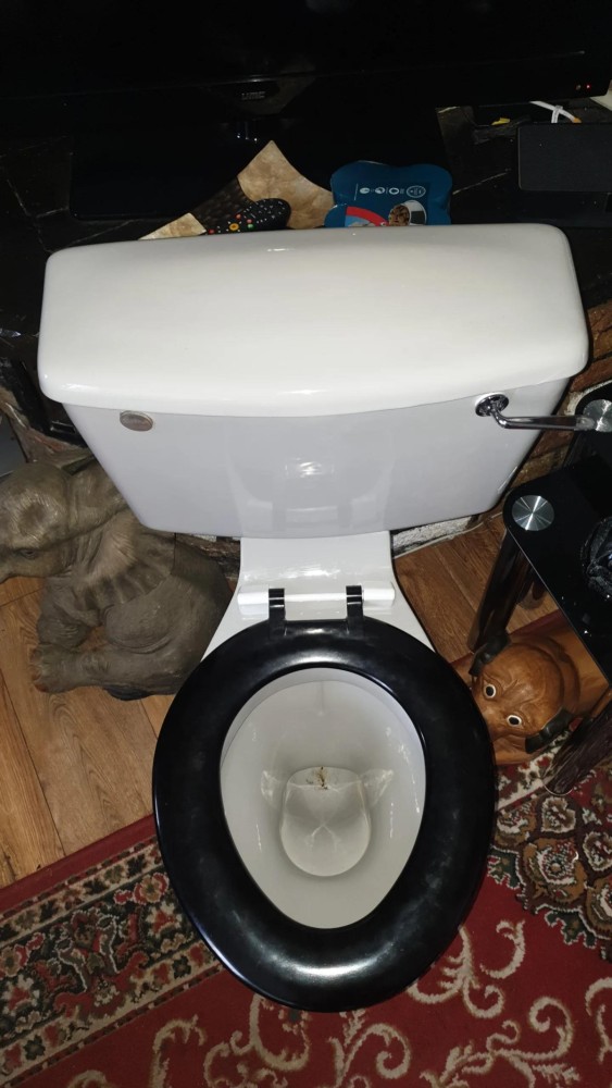 Wanted listings Qualcast/Qualitas Lotus toilet and sink SalvoWEB UK
