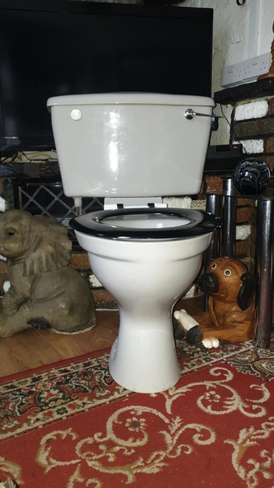 Wanted listings Qualcast/Qualitas Lotus toilet and sink SalvoWEB UK