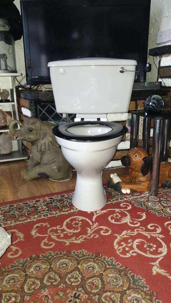 Wanted listings Qualcast/Qualitas Lotus toilet and sink SalvoWEB UK
