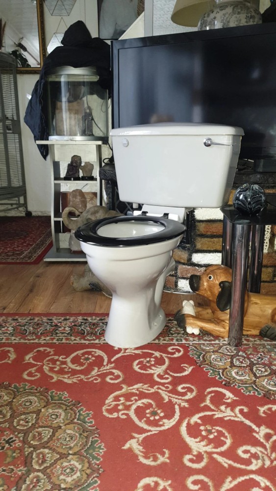Wanted listings Qualcast/Qualitas Lotus toilet and sink SalvoWEB UK