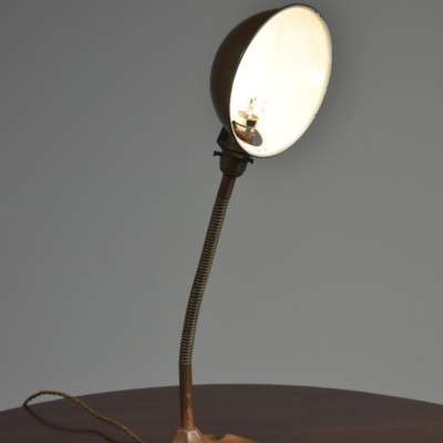 Lobed Base Flexi-Stem Lamps