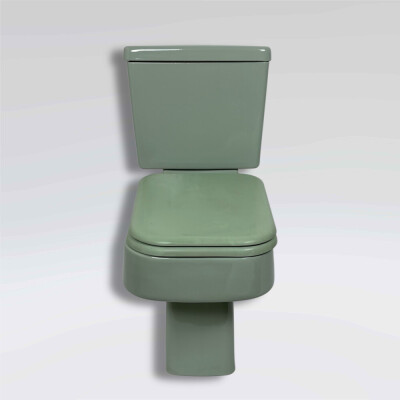 Sanitary Salvage