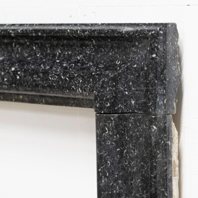 Splendid Antique 18th Century Kilkenny Marble Bolection Fireplace Surround