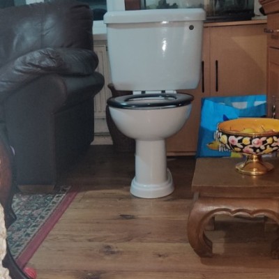 Balterley Romana syphonic double trap toilet 