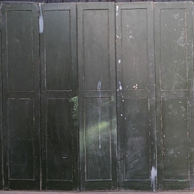 Victorian paneling , room divider, wardrobe doors
