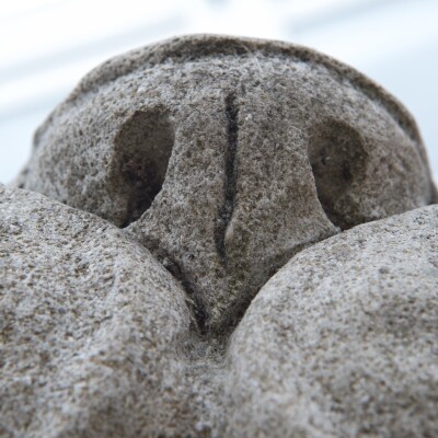 Reclaimed Pair of Monumental Stone Lions on their own Plinth