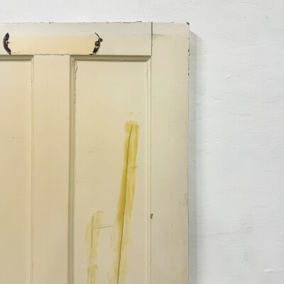 Antique Victorian Pine Door - 195.5cm X 76cm