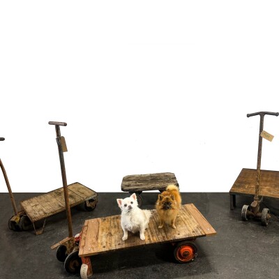Antique Wooden Tuglift Trolley