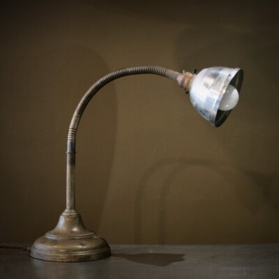 Brass Gooseneck Desk Lamp