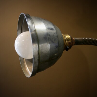 Brass Gooseneck Desk Lamp