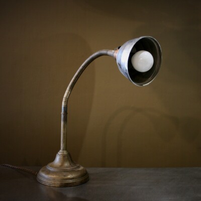Brass Gooseneck Desk Lamp