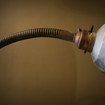 Brass Gooseneck Desk Lamp