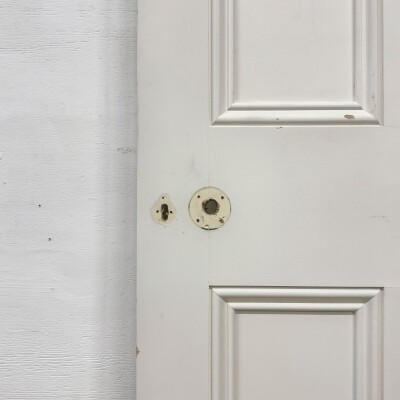 Reclaimed White Tulip Wood 2 Panel Door - 196.5cm x 78cm