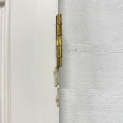 Reclaimed White Tulip Wood 2 Panel Door - 198cm x 72cm