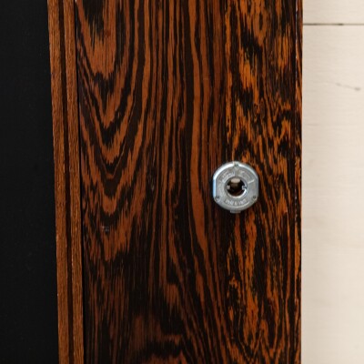 Panga Panga Door With Black Glass Panels