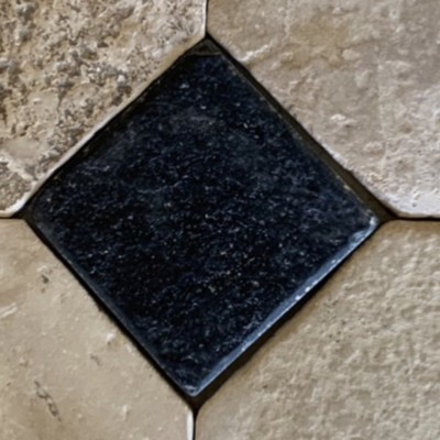Antique French Cabochon Flooring 