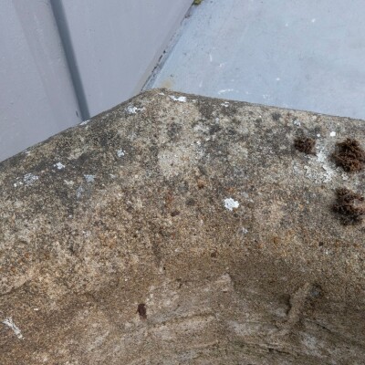 Antique Stone Urn