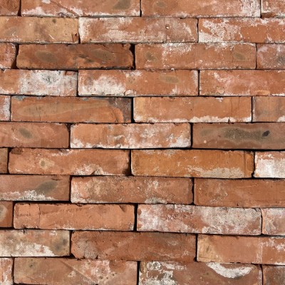 Reclaimed 2" Orange Wirecut Brick
