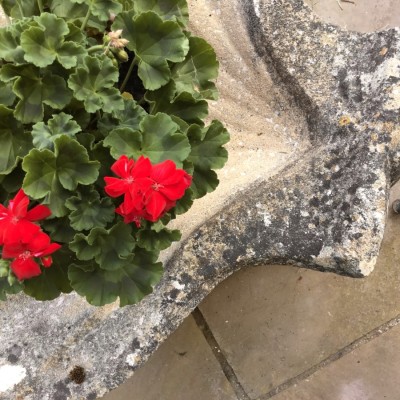 Vintage Pair Large Reconstituted Stone Scallop Shaped Planters on Stands