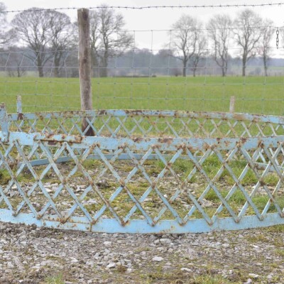 Wrought Iron Trellis Surround / Arbor