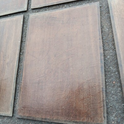 17th / 18th century oak paneling.