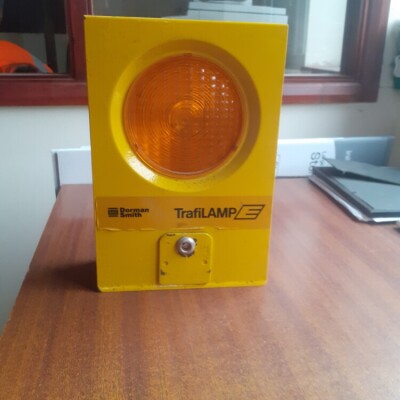 Roadside work lamps