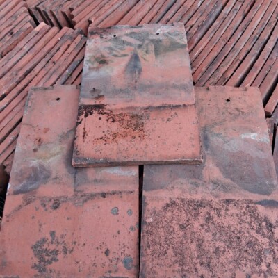 Rosemery clay tiles