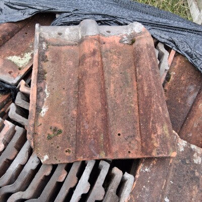 Double roman clay tiles