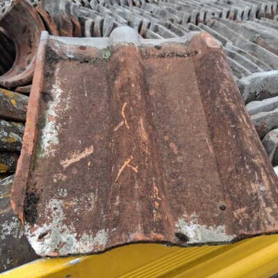 Double roman clay tiles