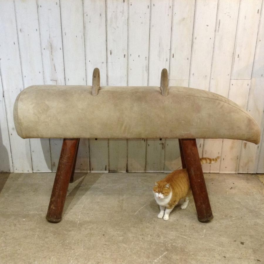 Vintage Gymnastics Pommel Horse V&V Reclamation