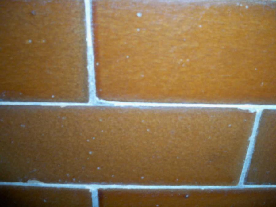 Brown Glazed Bricks
